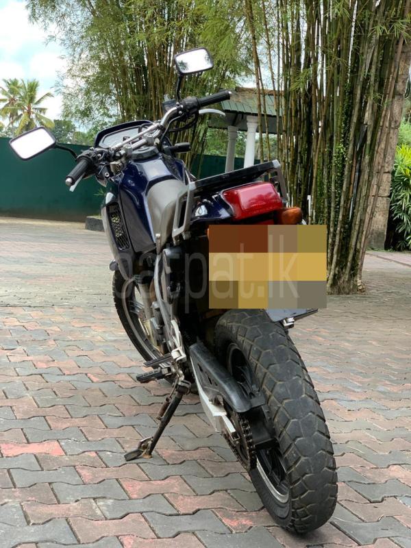 Advertisement image 2