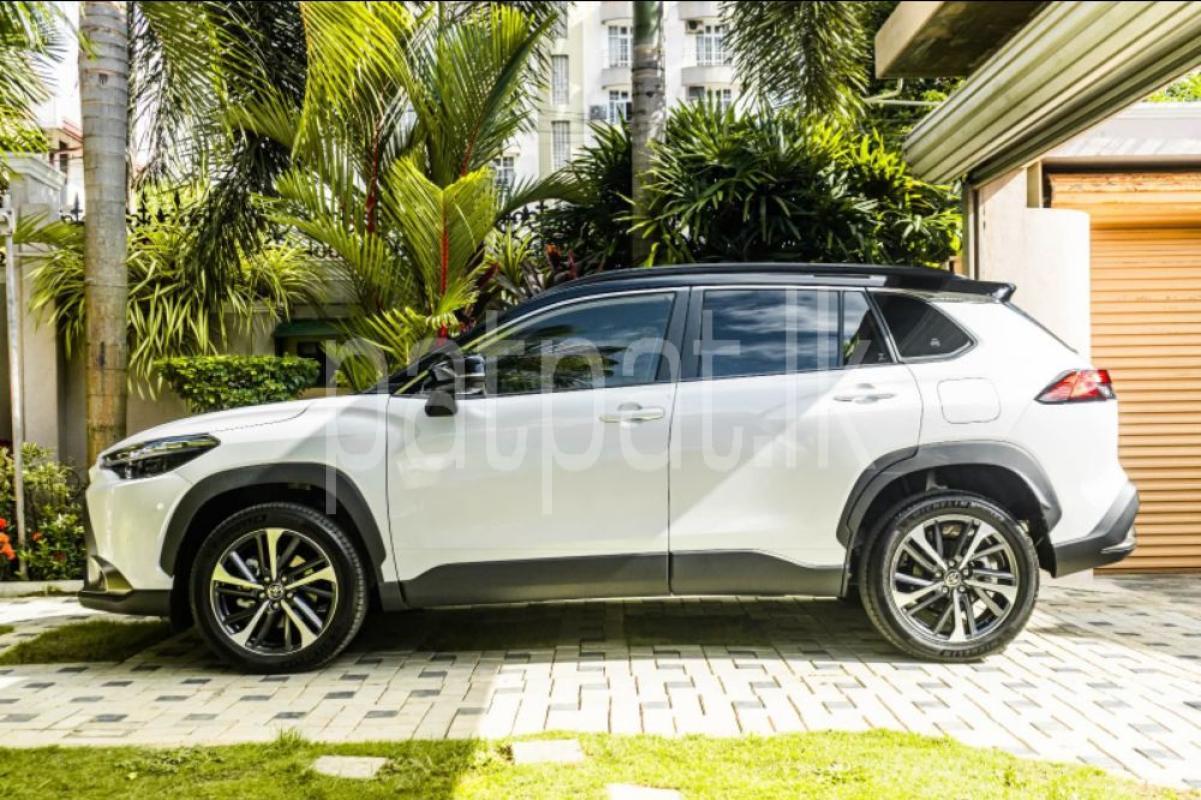 Advertisement image 3