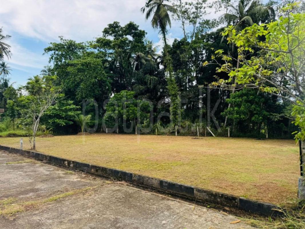 Advertisement image 5