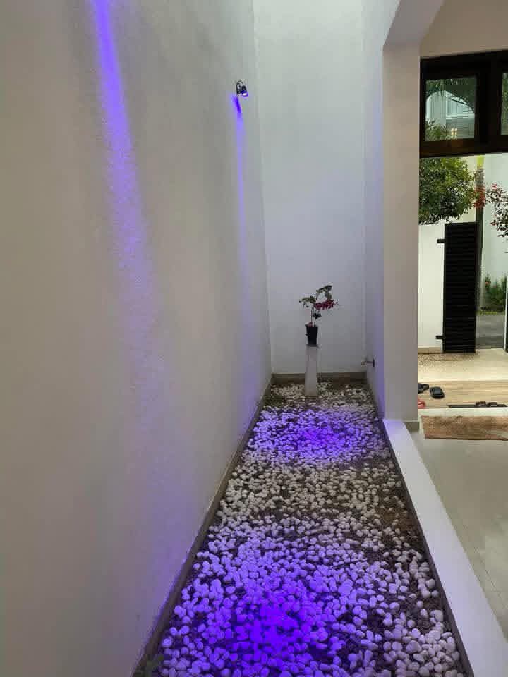 House for Rent in Dehiwala