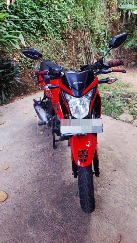 Advertisement image 6