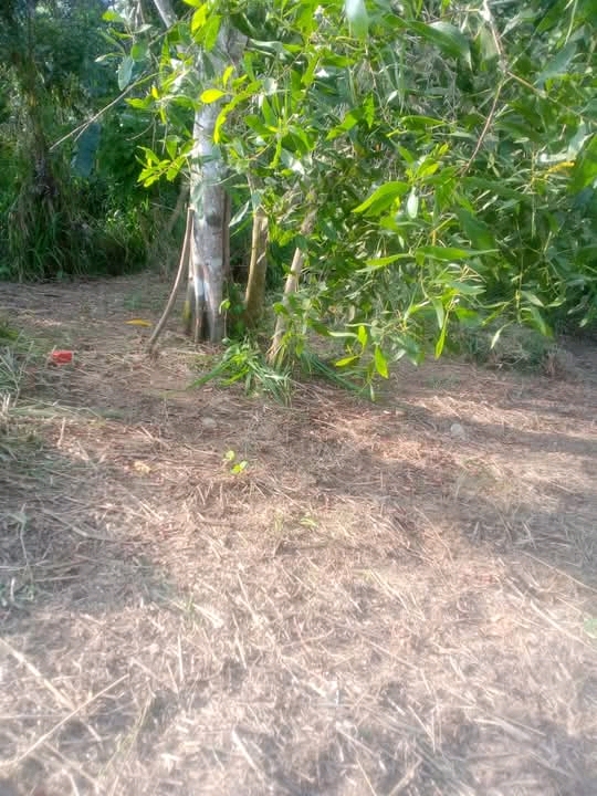 Commercial Land for Sale in Matara