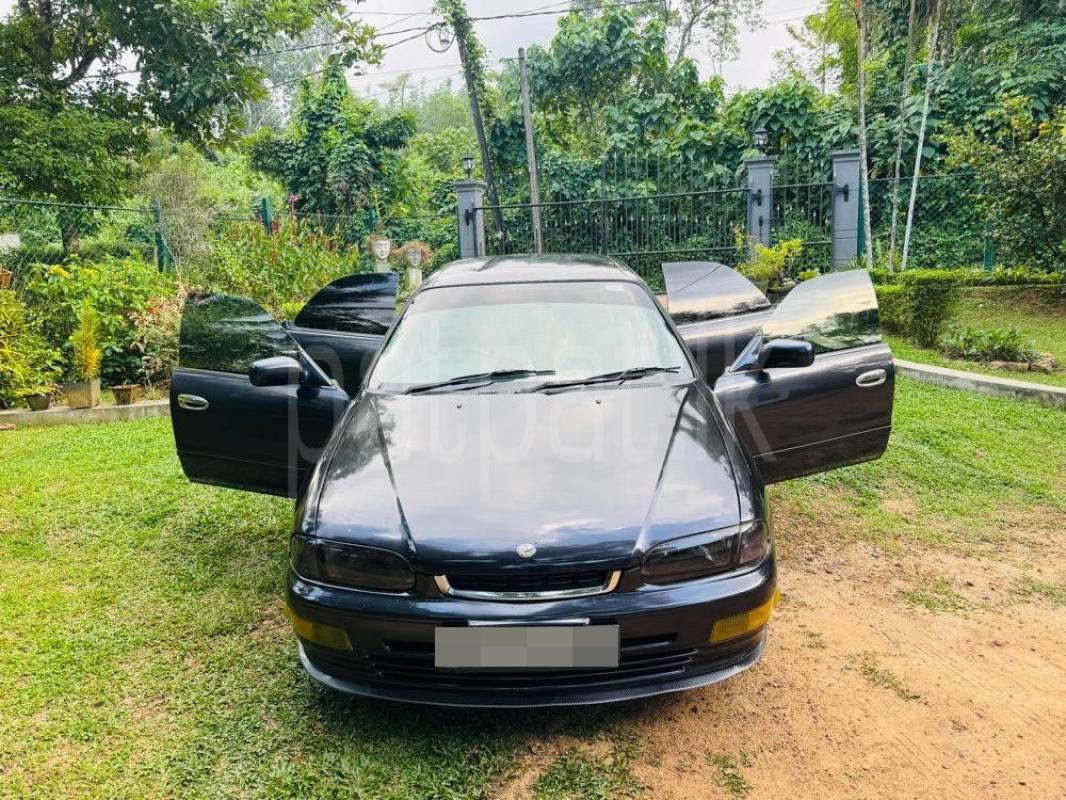 Advertisement image 1