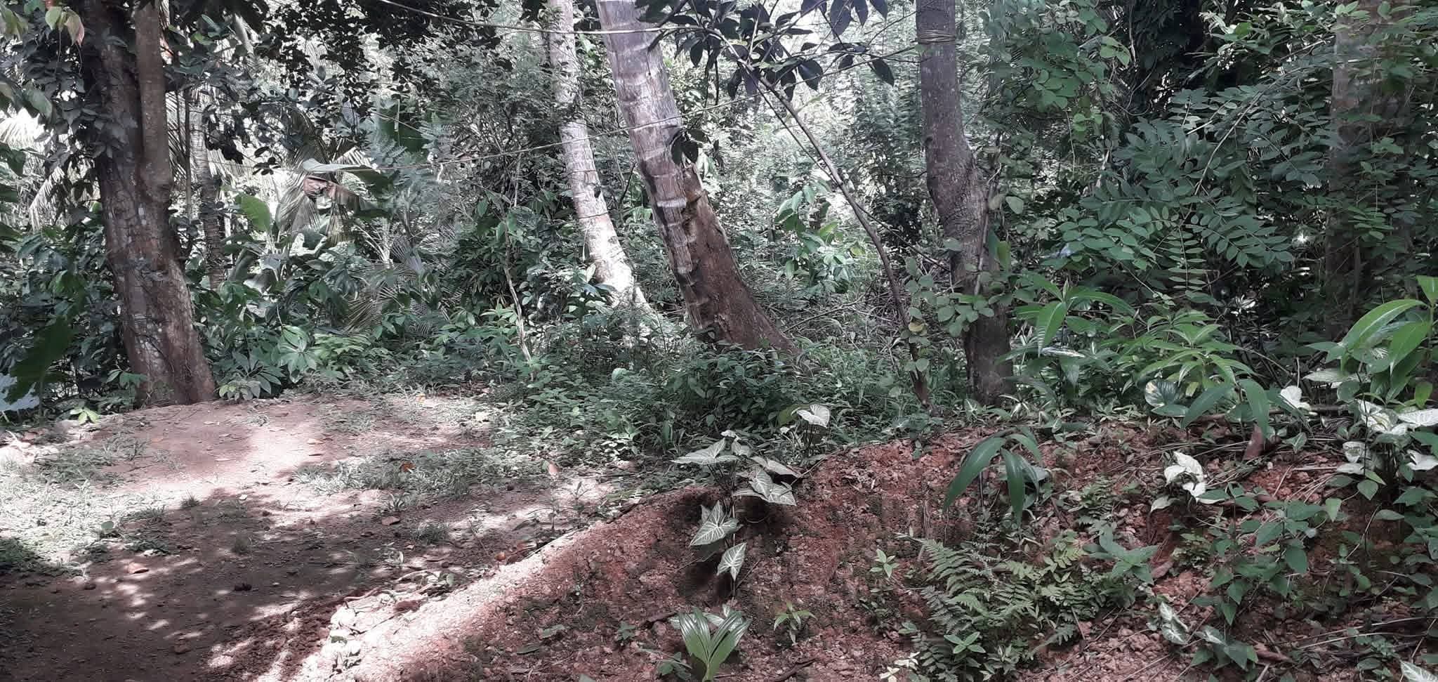 Commercial Land for Sale in Athurugiriya ads-image-1