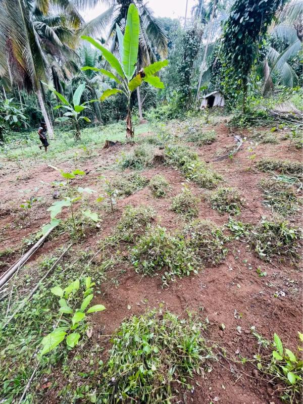 Agricultural Land for Sale in Maho
