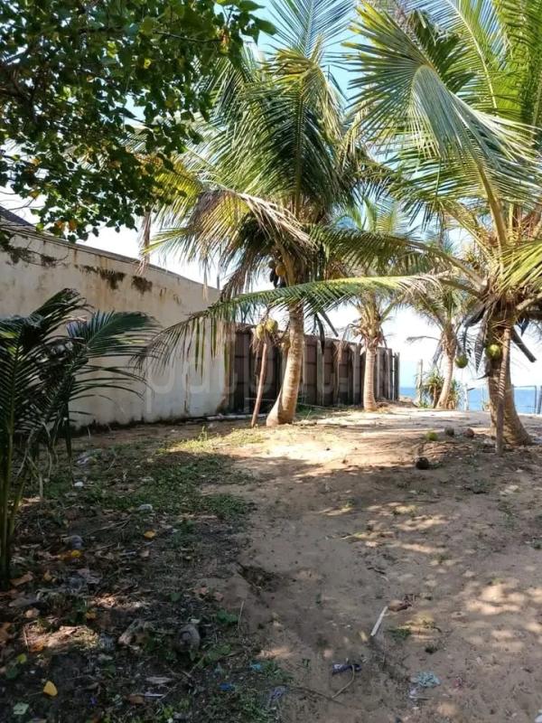 Commercial Land for Sale in Pamunugama ads-image-1