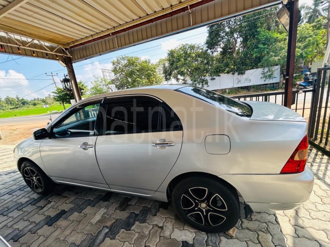 Advertisement image 6