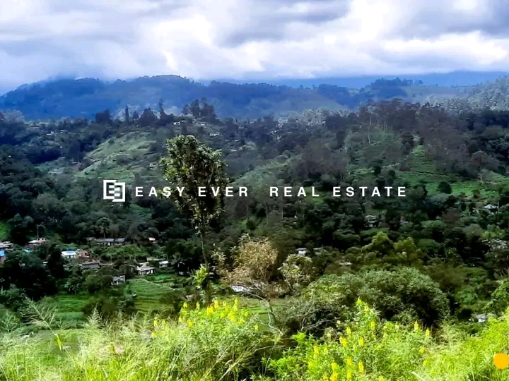 Commercial Land for Sale in Minuwangoda
