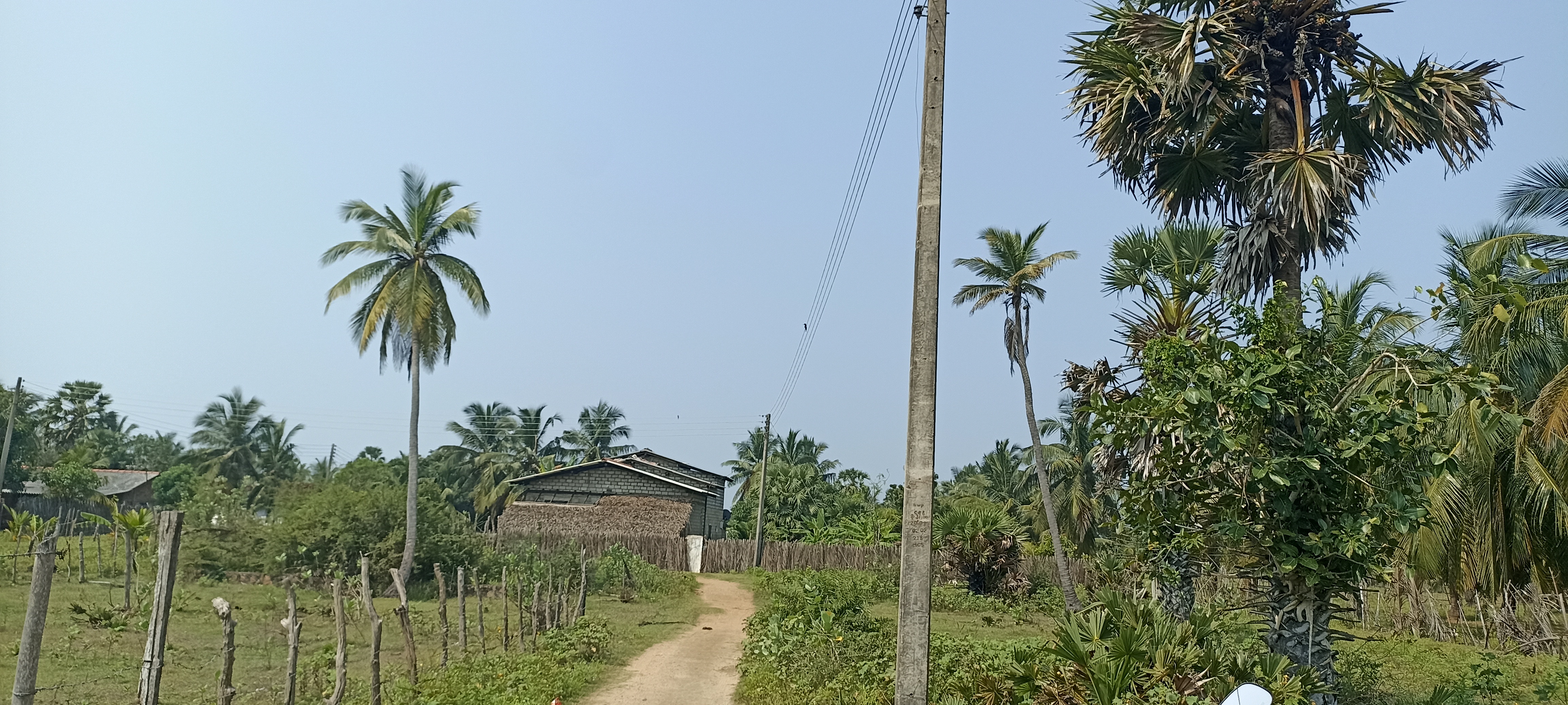 Residential Land for Sale in Puttalam