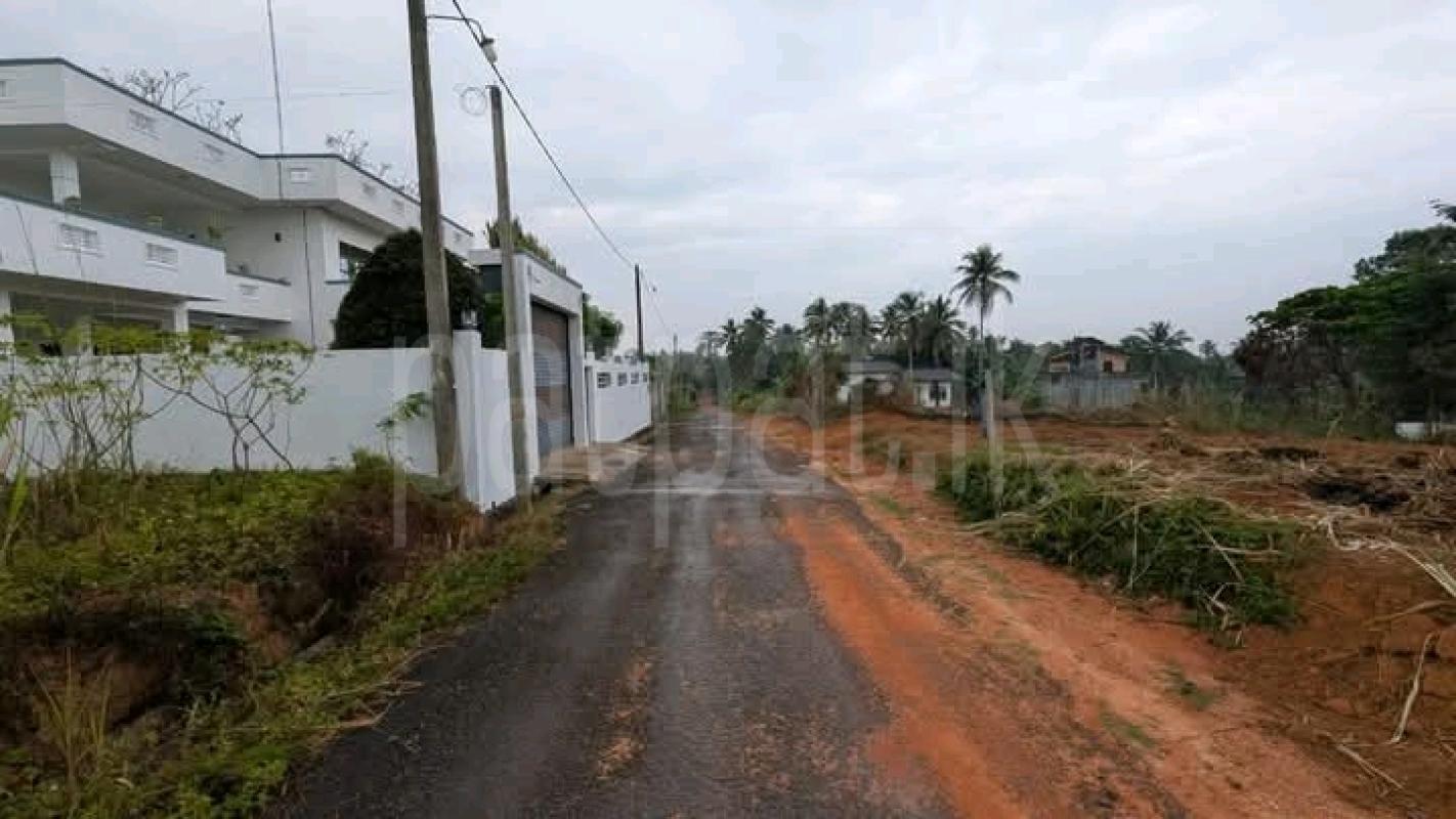 Commercial Land for Sale in Attanagalla