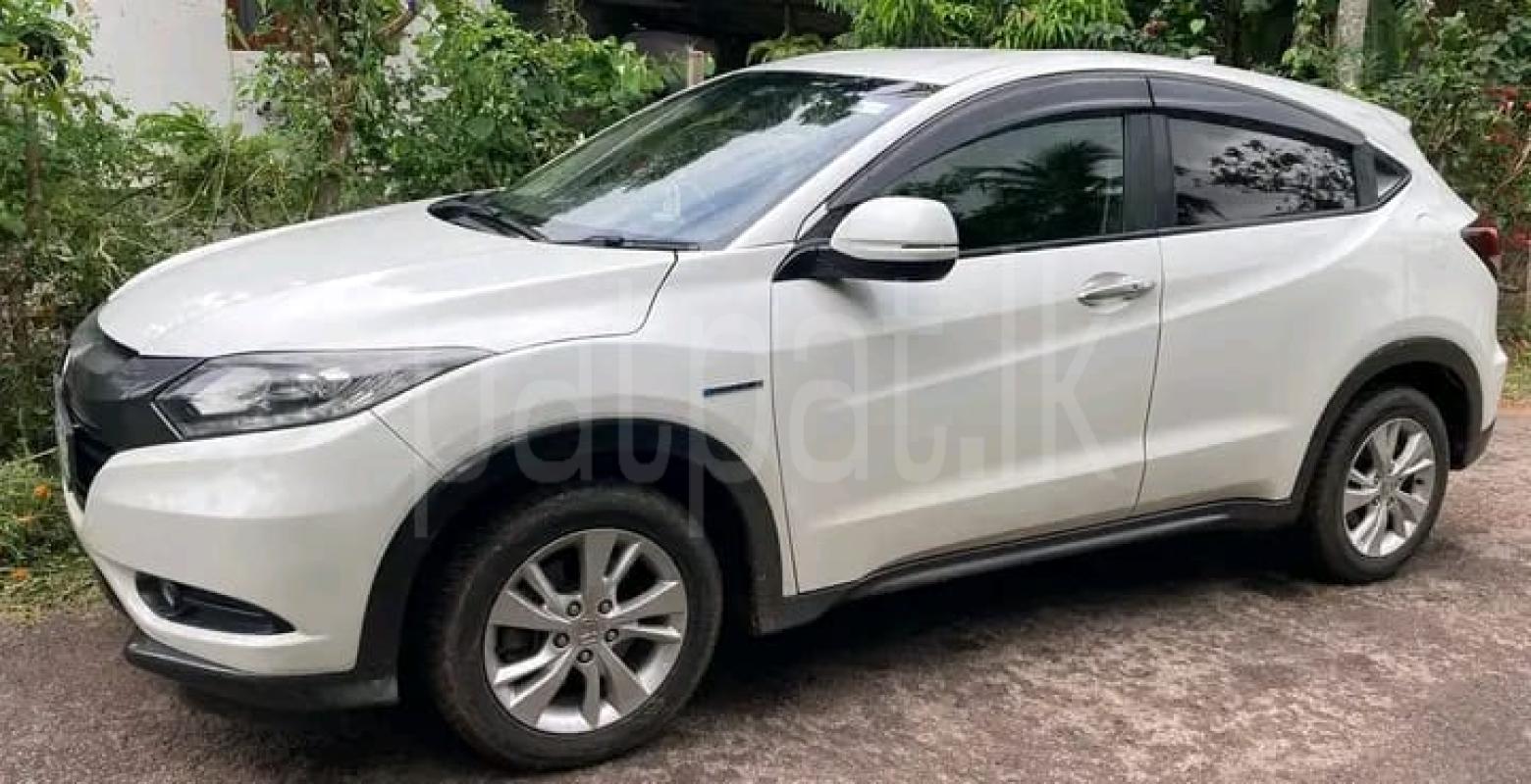 Advertisement image 3