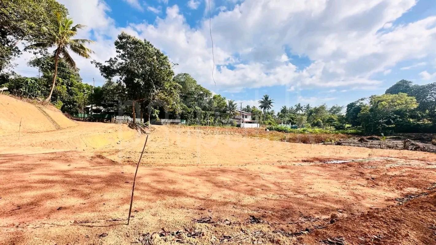 Agricultural Land for Sale in Biyagama