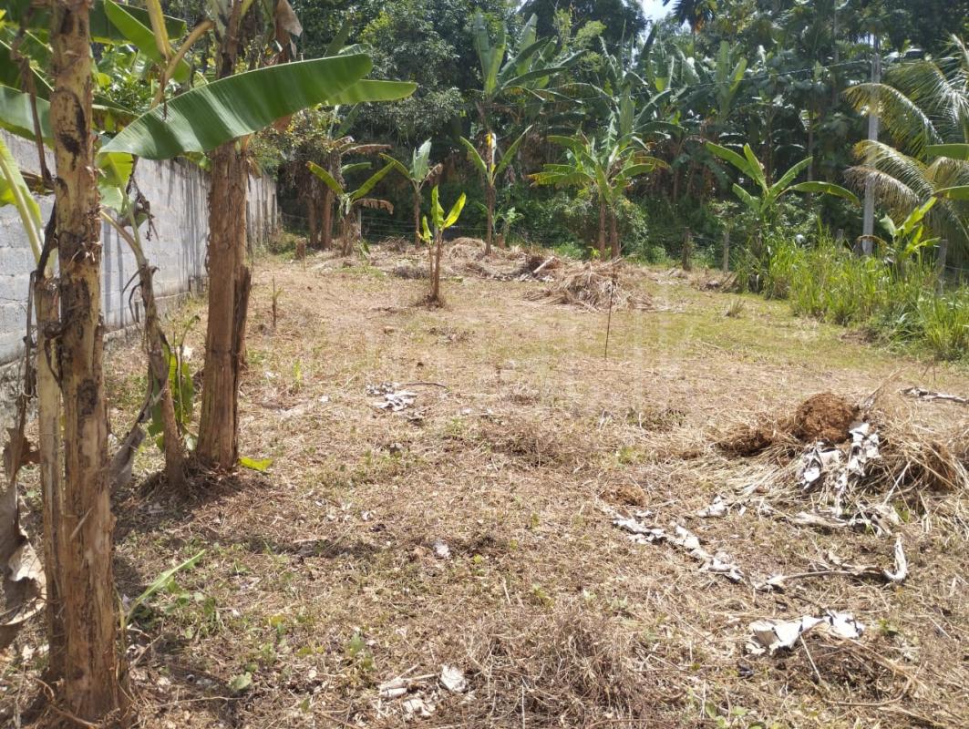 Commercial Land for Sale in Rambukkana