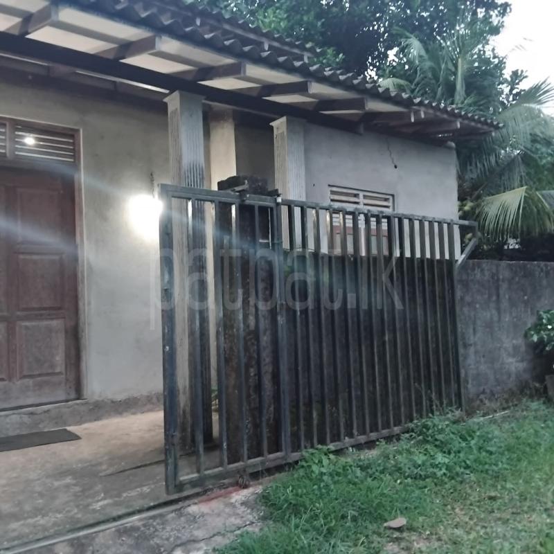 House for Sale in Piliyandala ads-image-1
