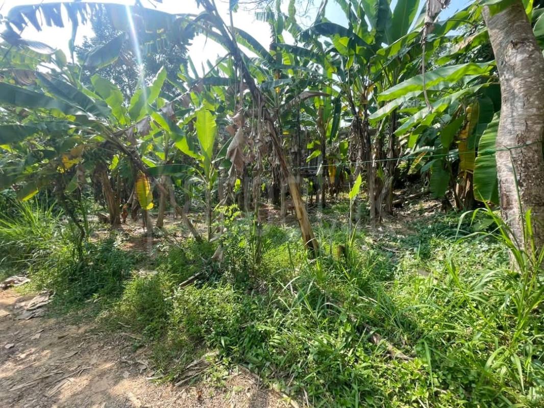 Residential Land for Sale in Gampola ads-image-1