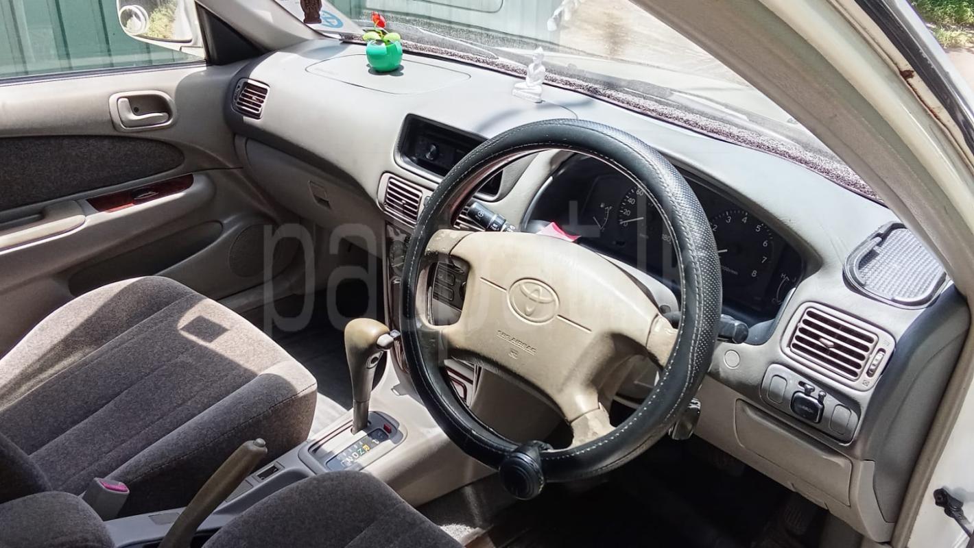 Advertisement image 4