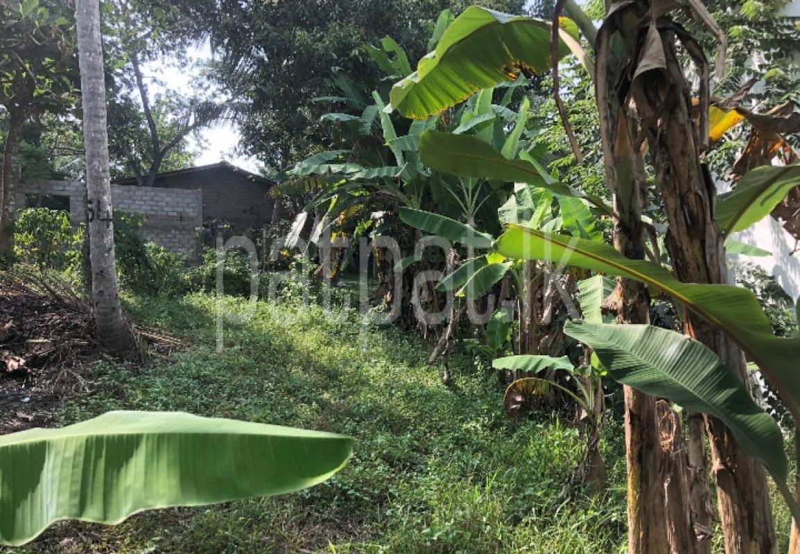 Commercial Land for Sale in Bandaragama