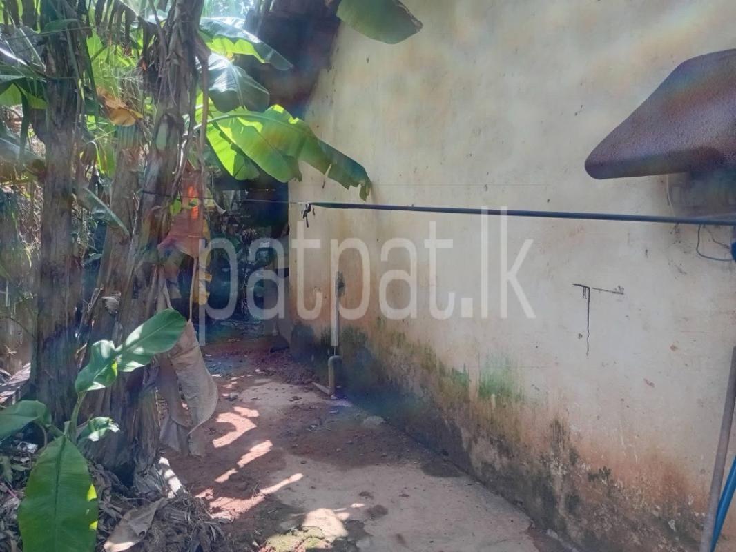 House for Sale in Panadura