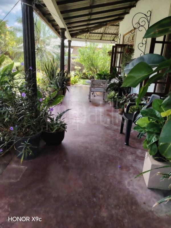 House for Sale in Giriulla ads-image-1