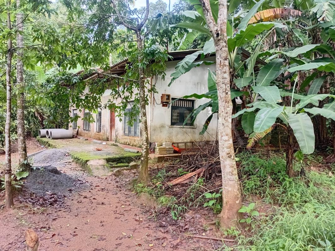 House for Sale in Pilimatalawa ads-image-1
