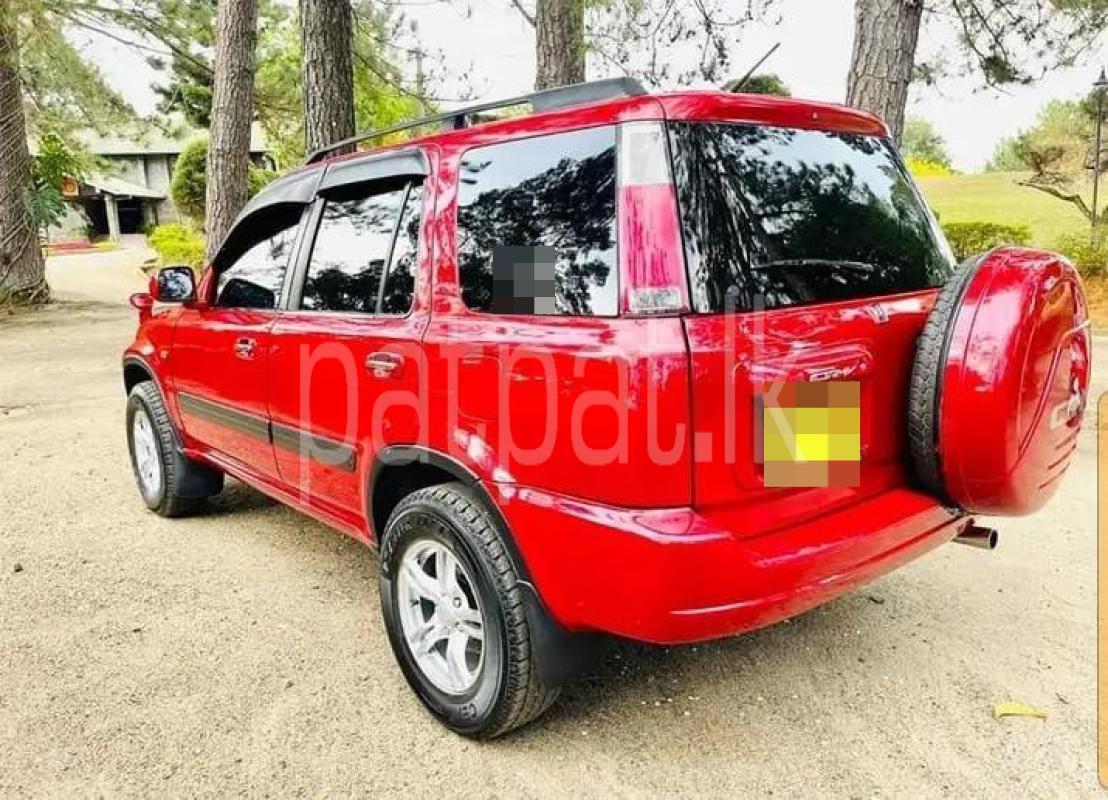 Advertisement image 2