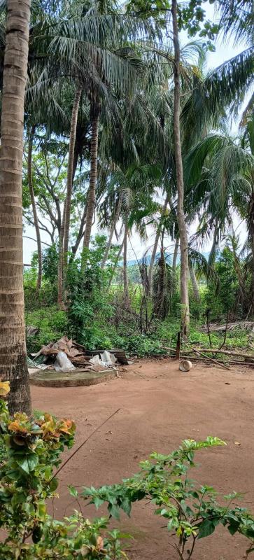 Residential Land for Sale in Kataragama