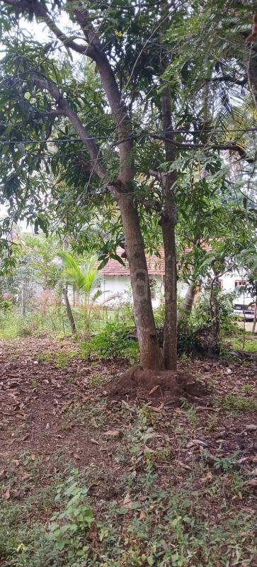 Residential Land for Sale in Kataragama