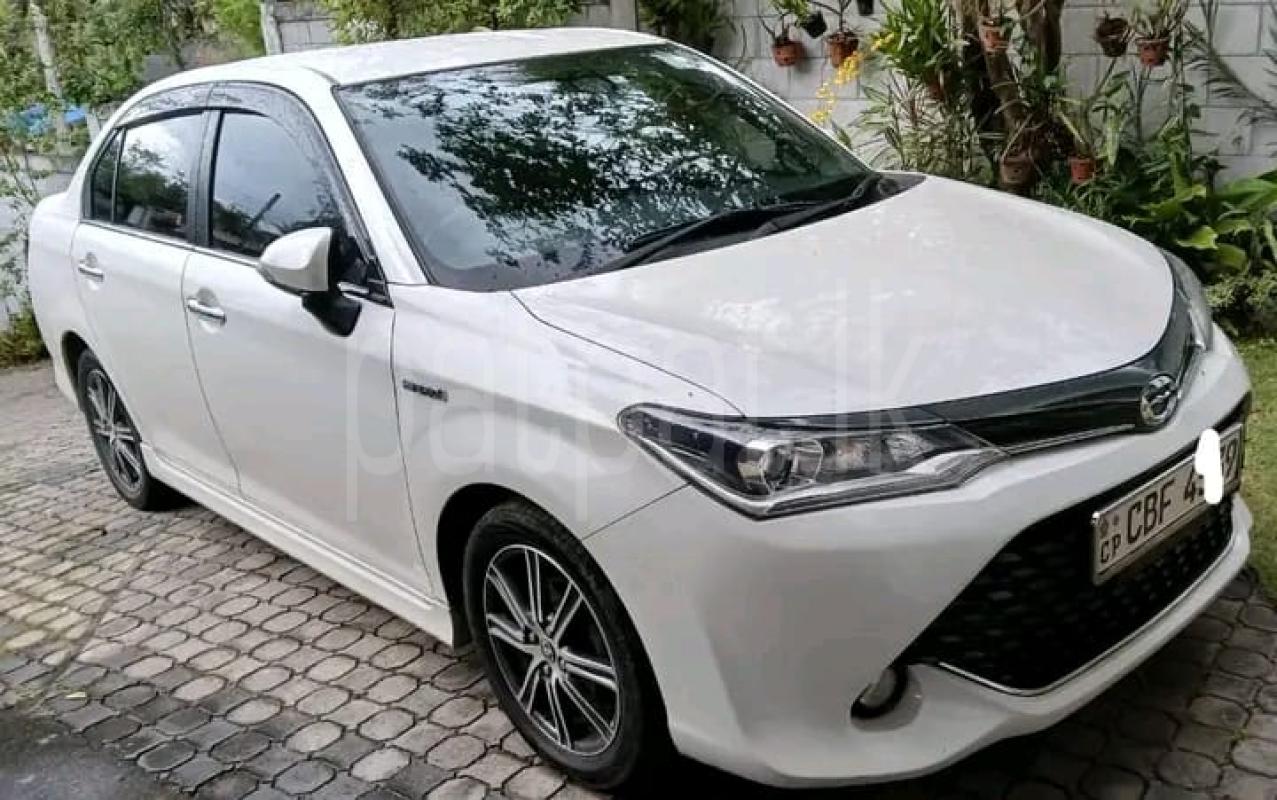 Advertisement image 2