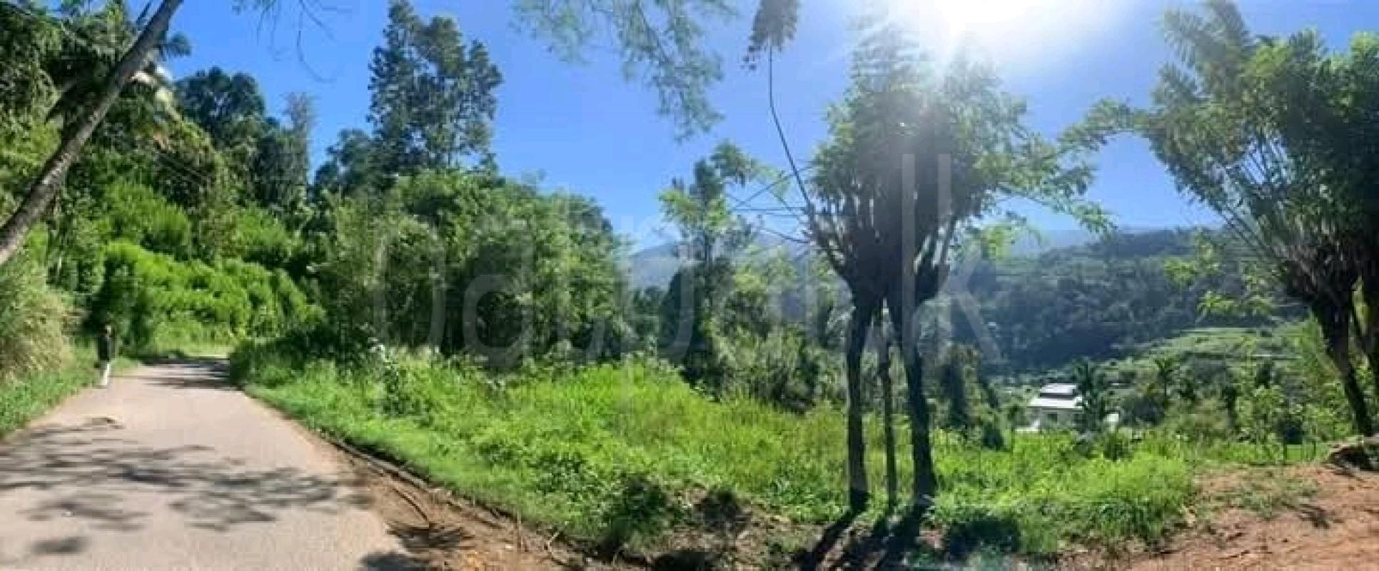 Commercial Land for Sale in Mandaram Nuwara