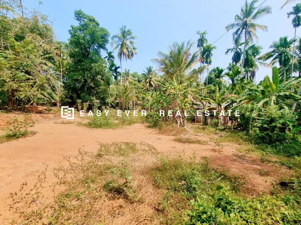Residential Land for Sale in Minuwangoda
