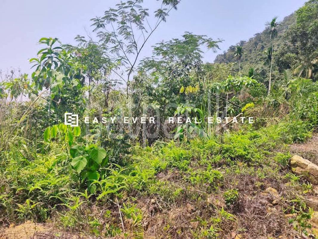 Residential Land for Sale in Ratnapura