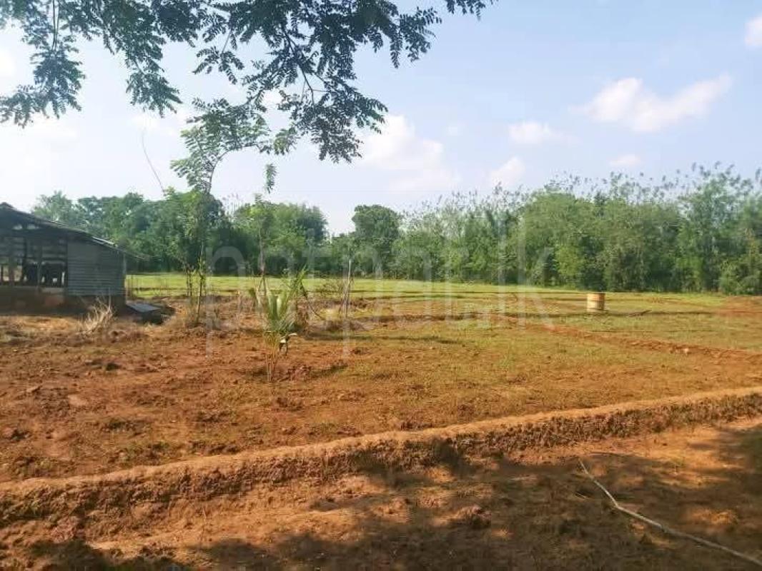 Residential Land for Sale in Sella Kataragama