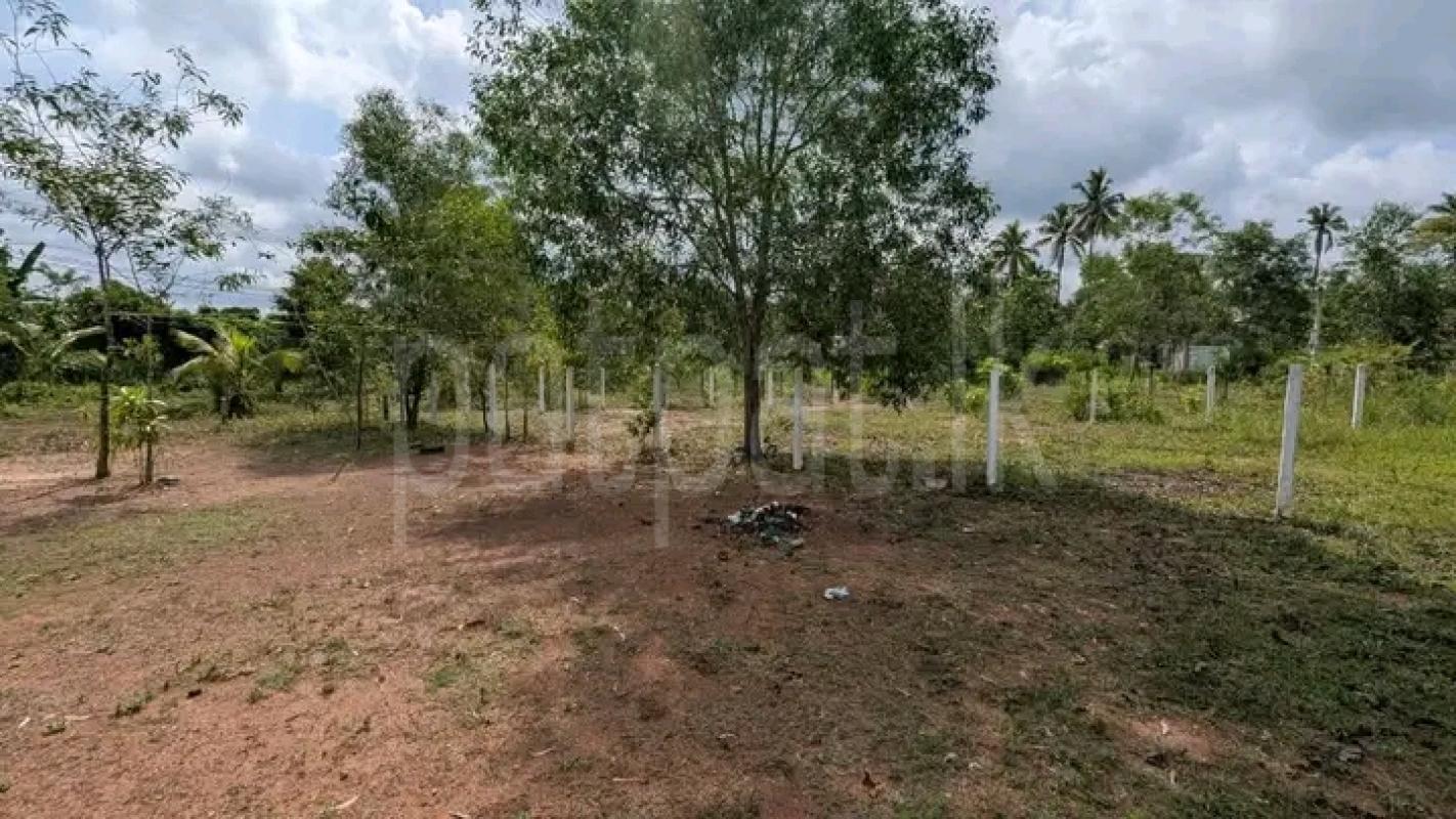 House for Sale in Nittambuwa