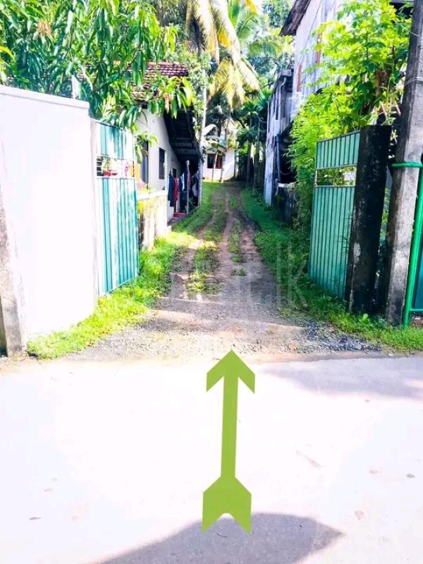 premium-listing-image