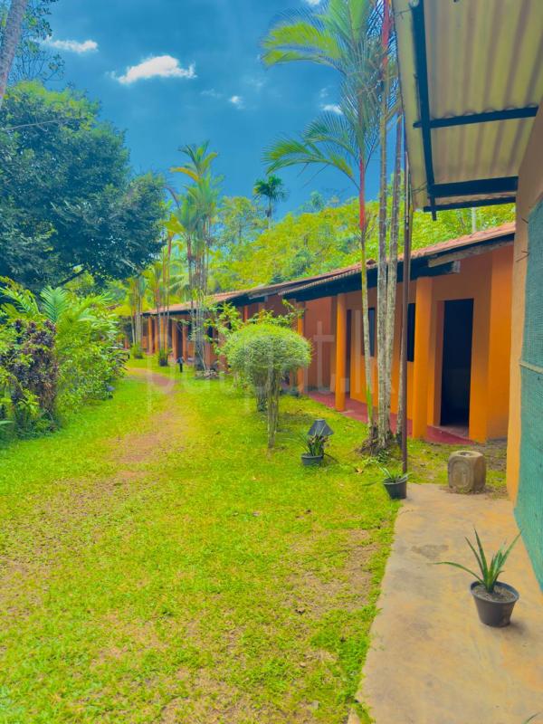 Residential Land for Sale in Benthara