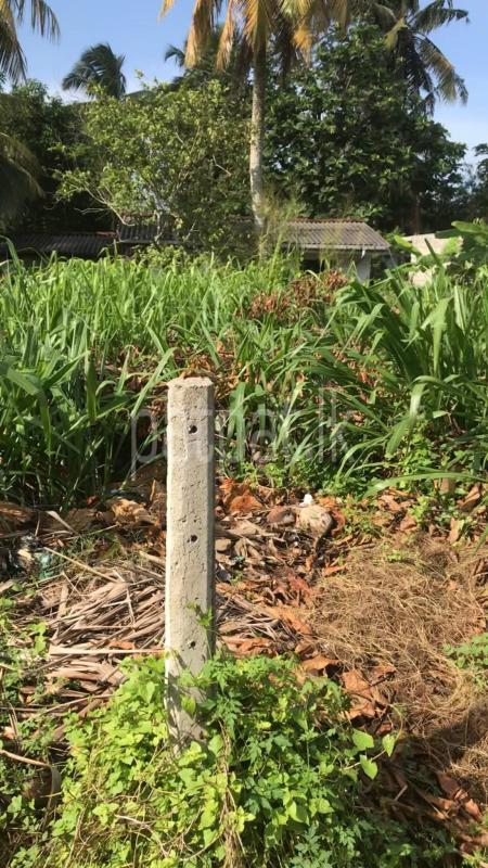 Commercial Land for Sale in Udugama