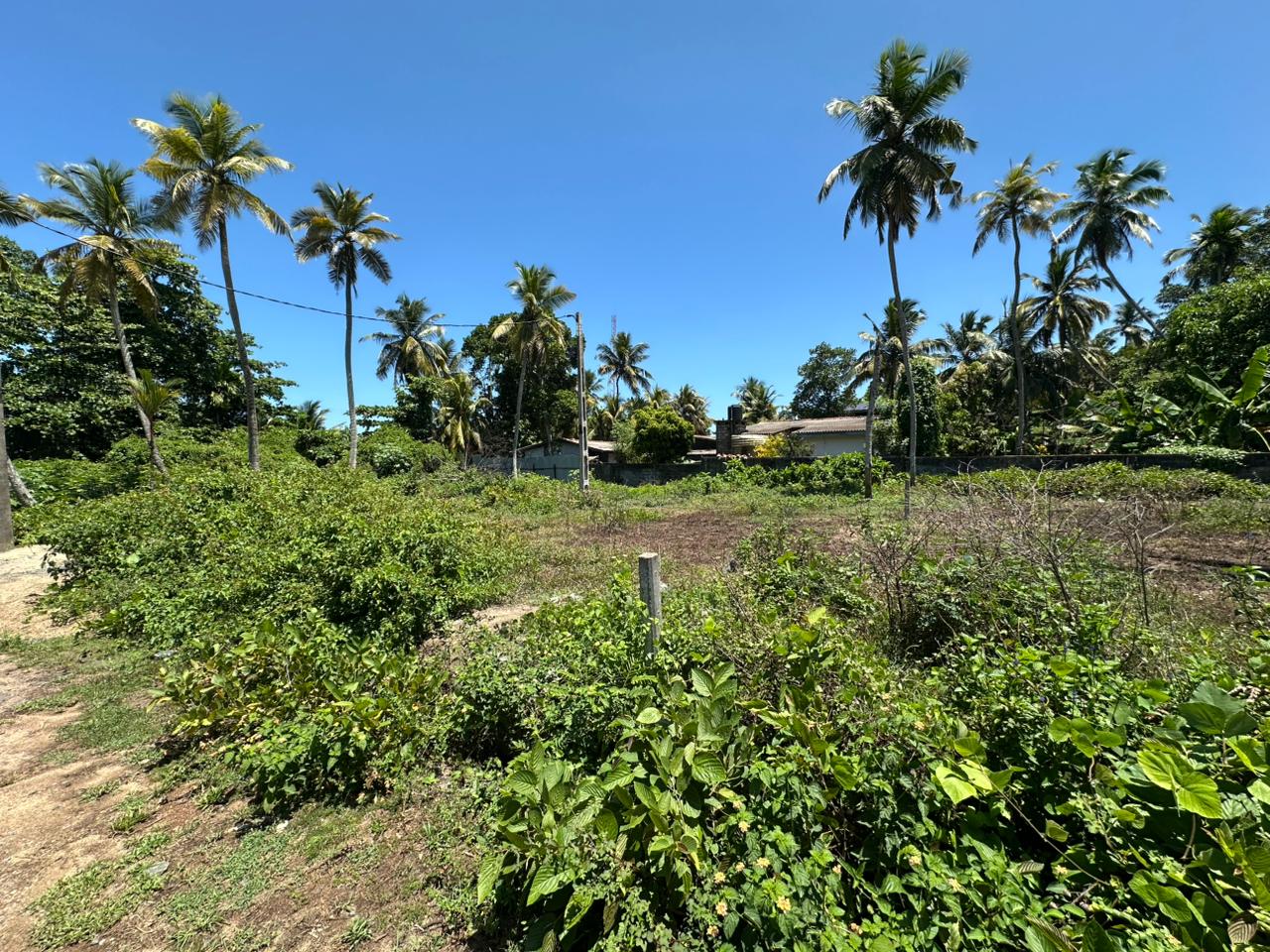 Residential Land for Sale in Panadura