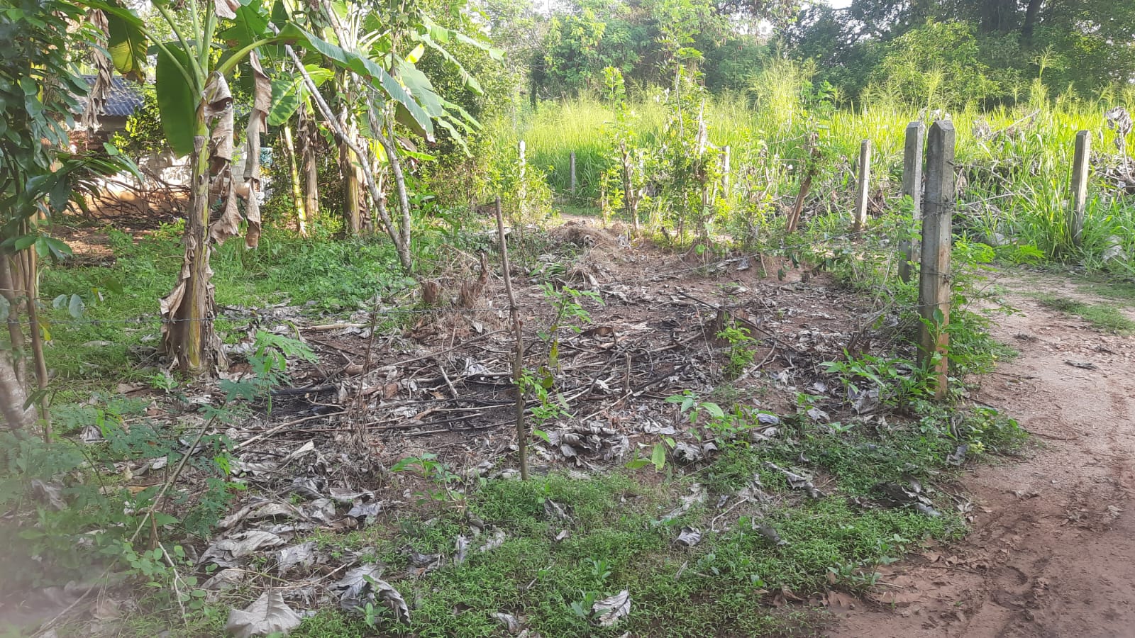 Residential Land for Sale in Anuradhapura