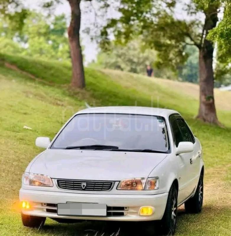 Advertisement image 4