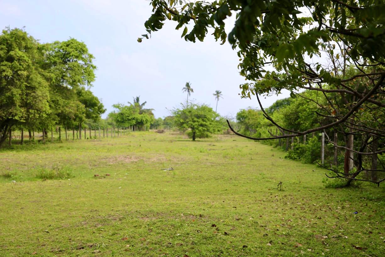 Commercial Land for Sale in Nilaveli