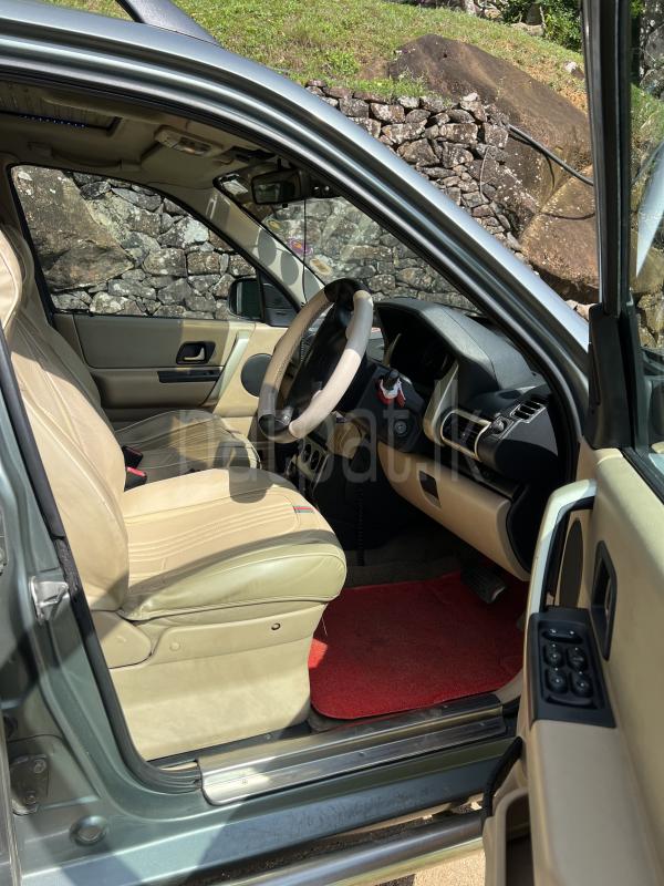 Advertisement image 6