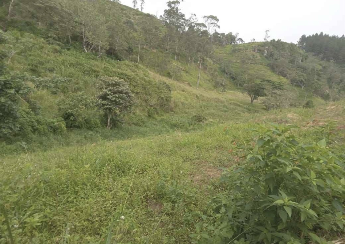 Commercial Land for Sale in Kundasale
