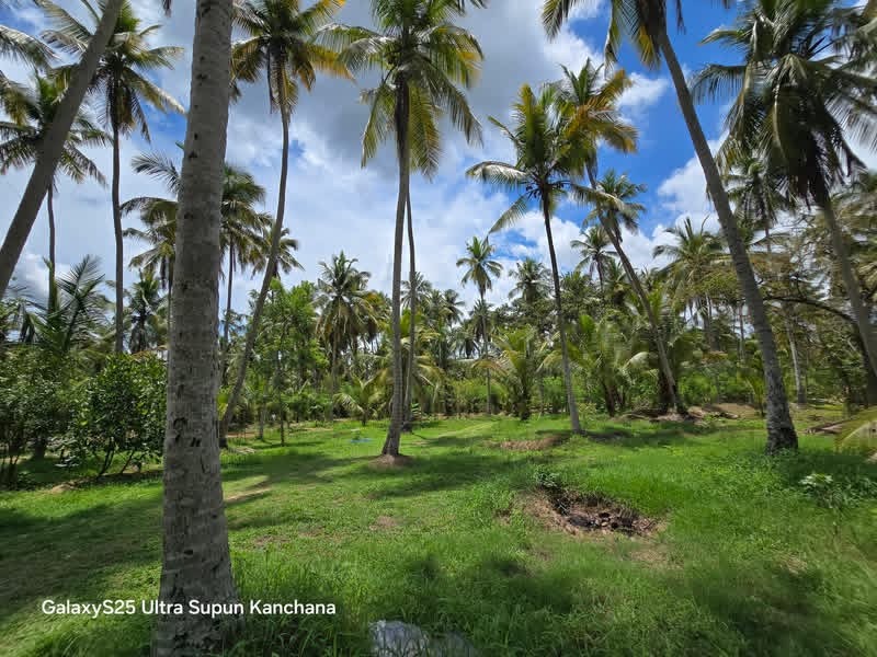 Residential Land for Sale in Divulapitiya