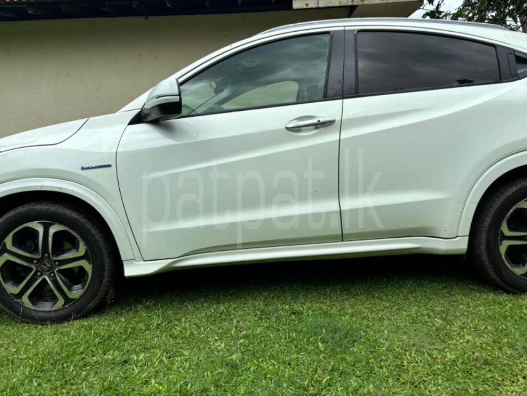 Advertisement image 3