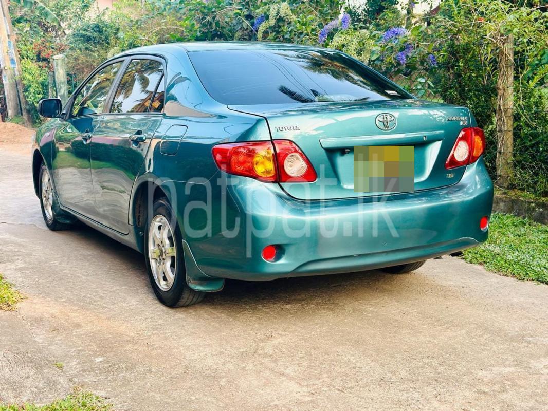 Advertisement image 6