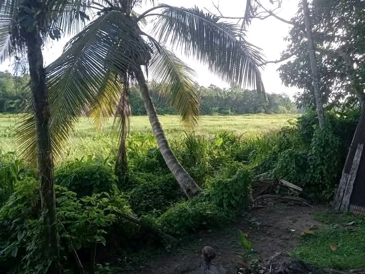 Residential Land for Sale in Ganemulla