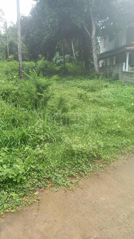 Commercial Land for Sale in Weeraketiya