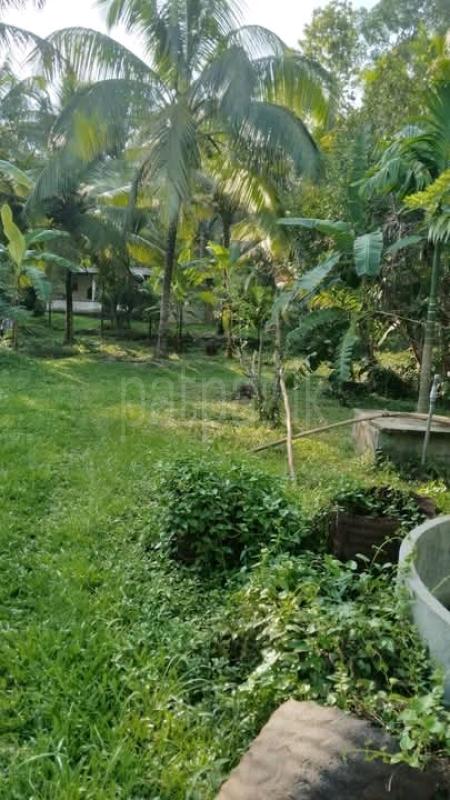 Commercial Land for Sale in Kurunegala