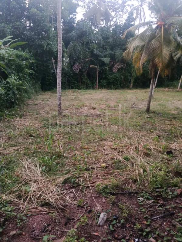 Agricultural Land for Sale in Gampola