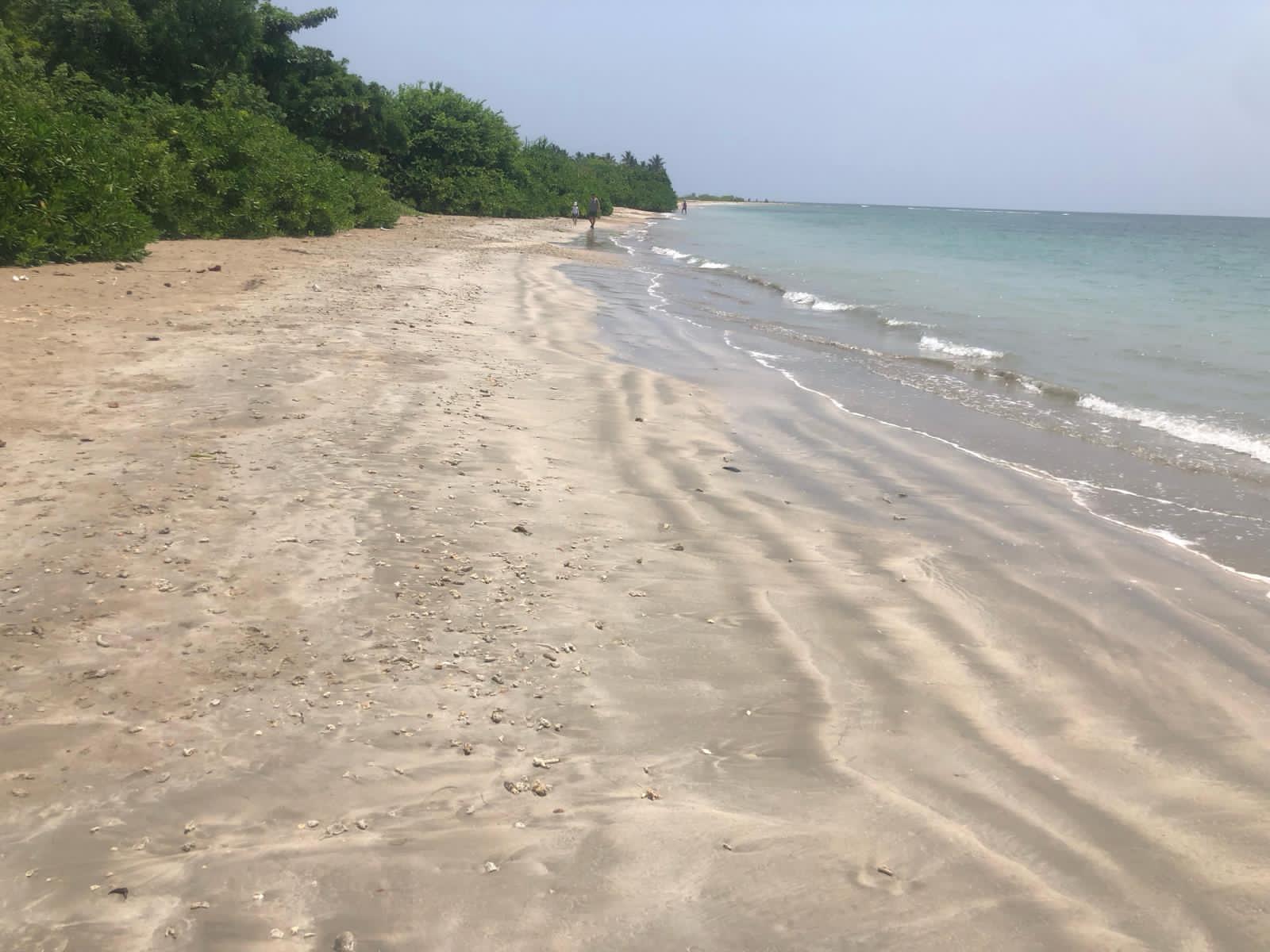 Commercial Land for Rent in Trincomalee